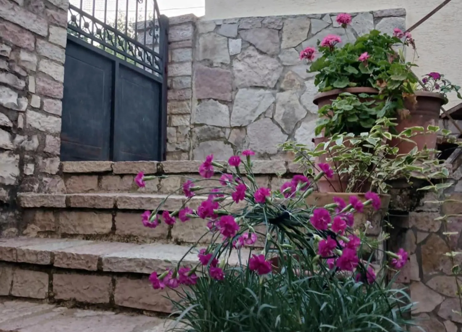 Eniguesthouse Gjirokastër 0*,